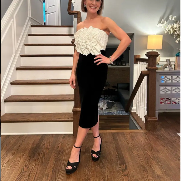 Badgley Mischka Black Velvet Rose Bodice Cocktail Dress SIZE 6 Designer $500 - Picture 8 of 13